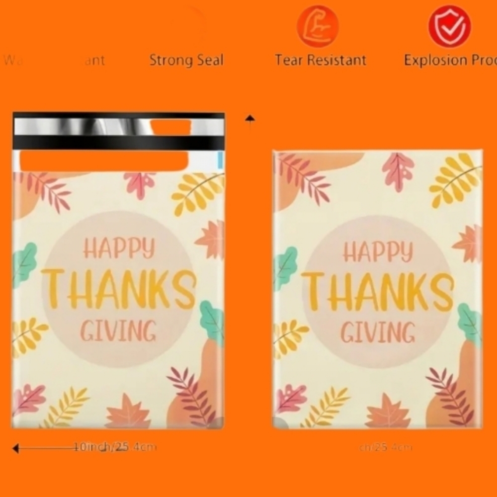 10x13 thanksgiving poly mailer #12